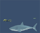 Hra online - Mad Shark
