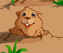 Hra online - Whack a Groundhog